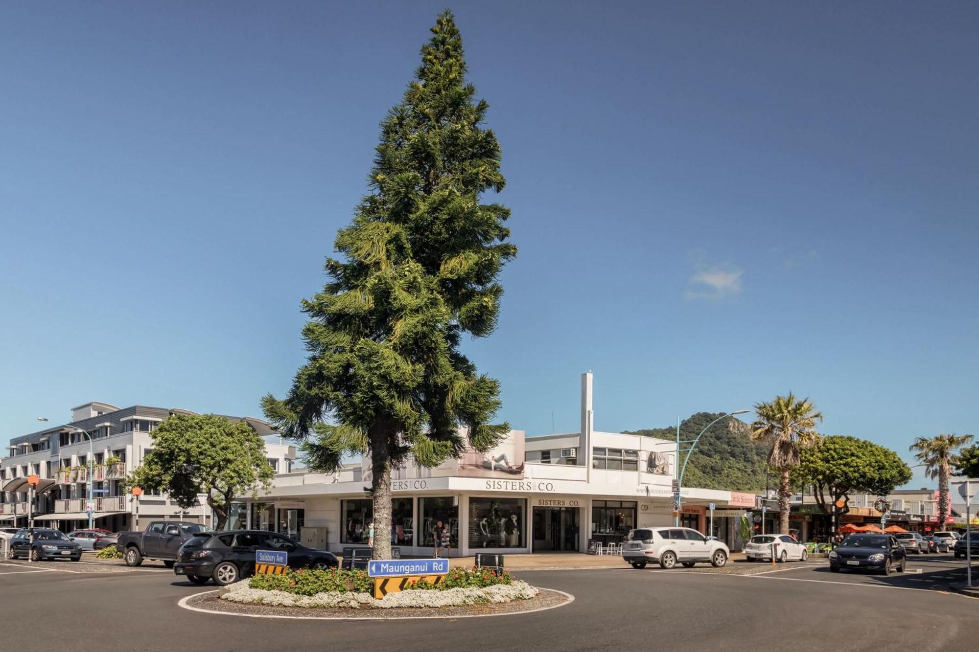 Oceanside Bliss - Absolute Beachfront - Uninterrupted Ocean Views With Pool Mount Maunganui Esterno foto